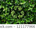 A plantthemed recycling symbol surrounded by lush green leaves 121177966