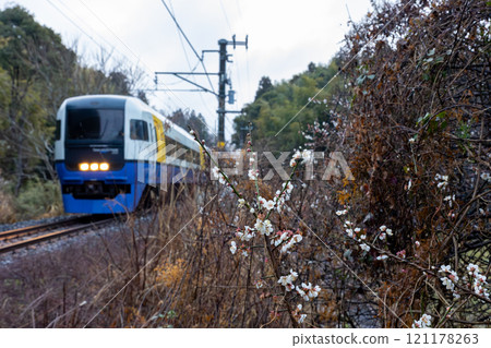 梅子和255系列潮騷 121178263