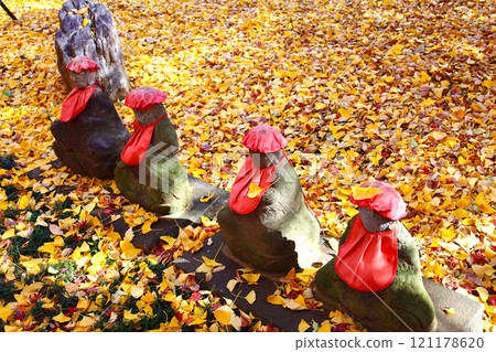 Autumn scenery of fallen ginkgo leaves and Jizo statue (Kuhonbutsu) 121178620