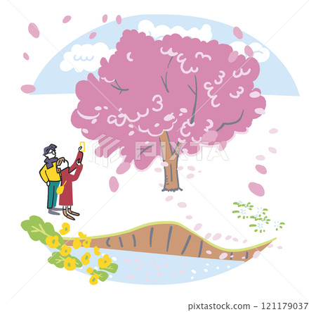情侶拍攝盛開的櫻花庫存插畫素材 121179037