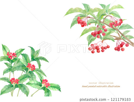 Watercolor vector illustration of Senryo and Manryo 121179183