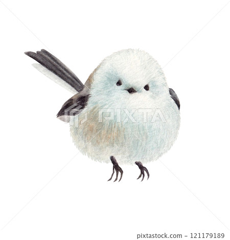 水彩手繪可愛條紋長尾蛾 水彩手繪可愛條紋長尾蛾 121179189