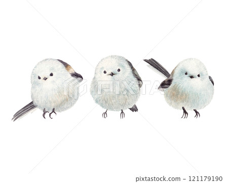 Three cute long-tailed tits drawn by watercolor 121179190