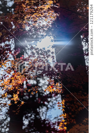 Autumn scenery at Bishamon-do Temple in Kyoto 121179264
