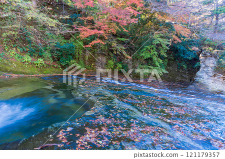 [千葉縣] 房總養老溪谷上游的紅葉和粟又瀑布 121179357