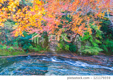[千葉縣] 房總養老溪谷上游的紅葉和粟又瀑布 121179359