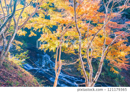 [千葉縣] 房總養老溪谷上游的紅葉和粟又瀑布 121179365