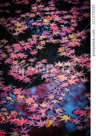 京都清水寺的秋景 京都清水寺的秋景 121179385