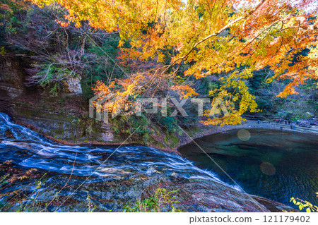 【千葉縣】房總養老溪谷和粟又瀑布，在秋葉之巔俯瞰瀑布盆地 121179402
