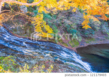 [Chiba Prefecture] Overlooking the pool at Awamataka Falls in the Boso Yoro Valley during the peak of autumn foliage 121179403