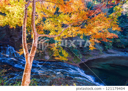【千葉縣】房總養老溪谷和粟又瀑布，在秋葉之巔俯瞰瀑布盆地 121179404