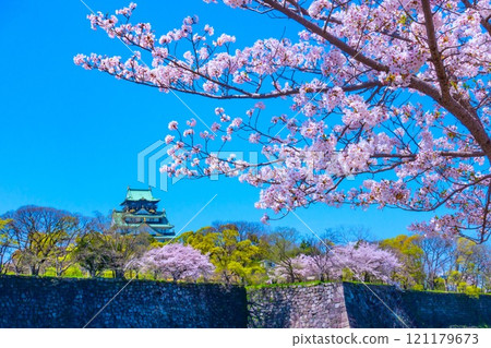Cherry blossoms at Osaka Castle Cherry blossoms at Osaka Castle 121179673