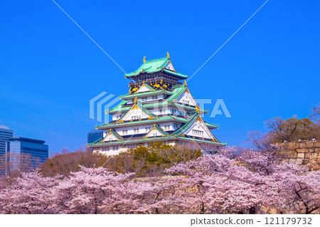 Sakura in Osaka Castle and Nishinomaru Garden 121179732
