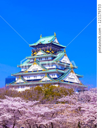 Sakura in Osaka Castle and Nishinomaru Garden 121179733