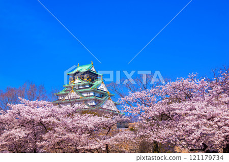 大阪城和西之丸庭園的櫻花 大阪城和西之丸庭園的櫻花 121179734