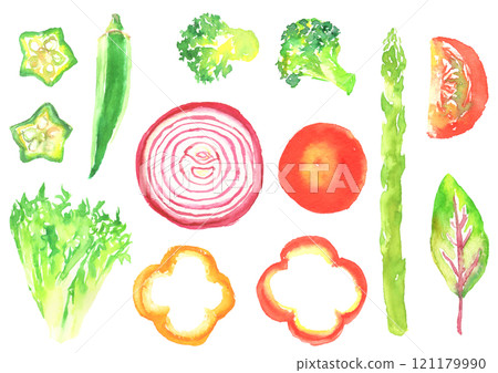 Illustration of various salad vegetables painted in watercolor 121179990