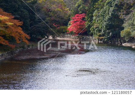 深秋的伊勢神宮內宮 121180057