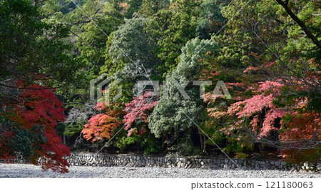 深秋的伊勢神宮內宮 121180063