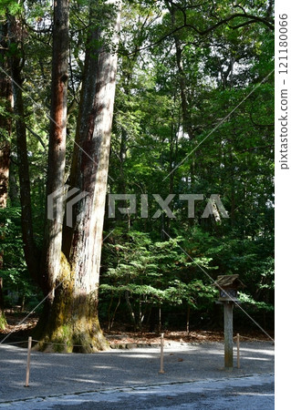 深秋的伊勢神宮內宮 深秋的伊勢神宮內宮 121180066