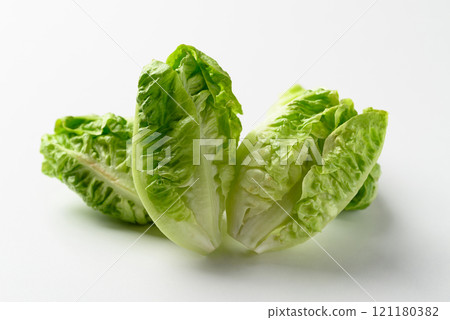 Baby cos lettuce romaine on white background, Fresh vegetable 121180382