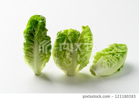 Baby cos lettuce romaine on white background, Fresh vegetable 121180383