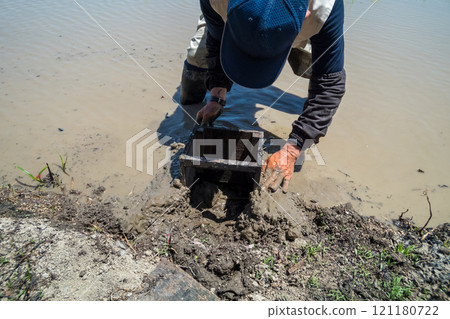 水稻種植 男人 男 121180722