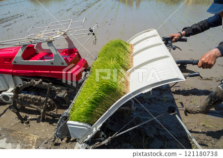 rice planting, rice transplanter, paddy 121180738