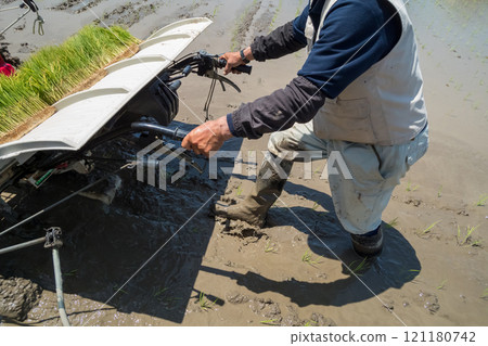 水稻種植 農家 農民 121180742