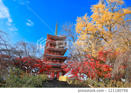 [Matsudo City, Chiba Prefecture] Autumn leaves and five-story pagoda at Hondo-ji Temple 121180798