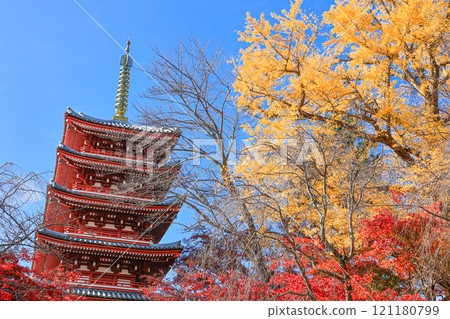 [Matsudo City, Chiba Prefecture] Autumn leaves and five-story pagoda at Hondo-ji Temple 121180799