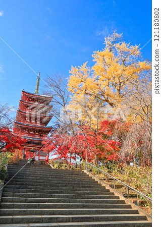 [Matsudo City, Chiba Prefecture] Autumn leaves and five-story pagoda at Hondo-ji Temple 121180802