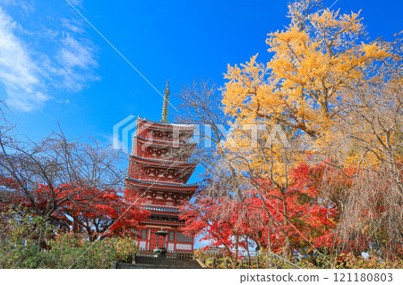[Matsudo City, Chiba Prefecture] Autumn leaves and five-story pagoda at Hondo-ji Temple 121180803