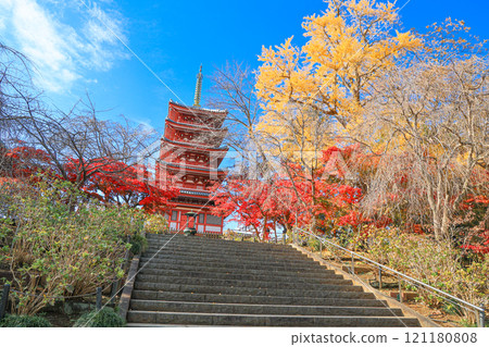 [Matsudo City, Chiba Prefecture] Autumn leaves and five-story pagoda at Hondo-ji Temple 121180808