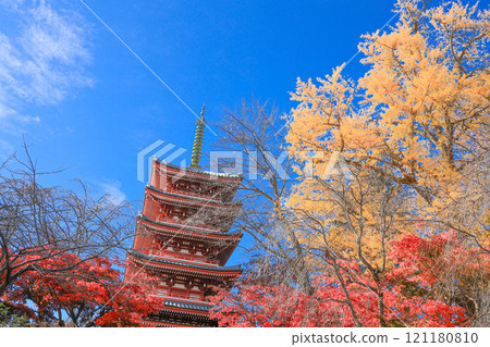 [Matsudo City, Chiba Prefecture] Autumn leaves and five-story pagoda at Hondo-ji Temple 121180810