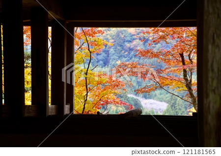 Autumn view from Muroji Temple's Okunoin (Uda City, Nara Prefecture) 121181565