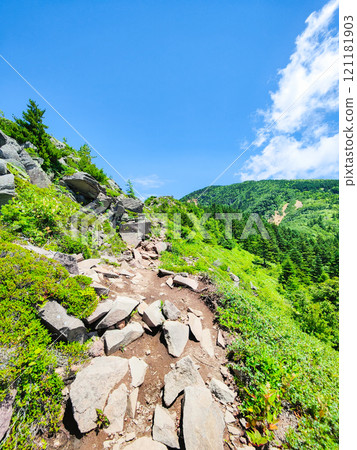 夏季登山什葉派、貓山(中根路線) 夏季登山什葉派、貓山(中根路線) 121181903
