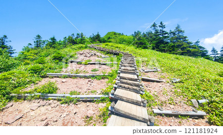 Summer climbing of Mt. Azuma and Mt. Nekodake (Wooden steps before the summit: Nakaone, Azuma Plateau, Torii Pass course) 121181924