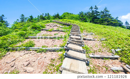 Summer climbing of Mt. Azuma and Mt. Nekodake (Wooden steps before the summit: Nakaone, Azuma Plateau, Torii Pass course) Summer climbing of Mt. Azuma and Mt. Nekodake (Wooden steps before the summit: Nakaone, Azuma Plateau, Torii Pass course) 121181926