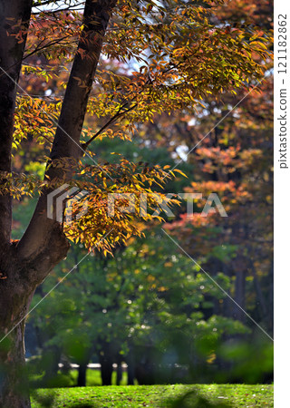 [愛知縣] 秋天的名古屋市名城公園 121182862