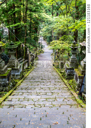 《西城寺》石碑與綠意盎然的參道(神奈川縣南足柄市) 《西城寺》石碑與綠意盎然的參道(神奈川縣南足柄市) 121183168