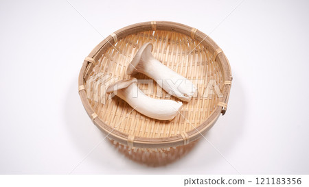 king oyster mushroom king oyster mushroom 121183356