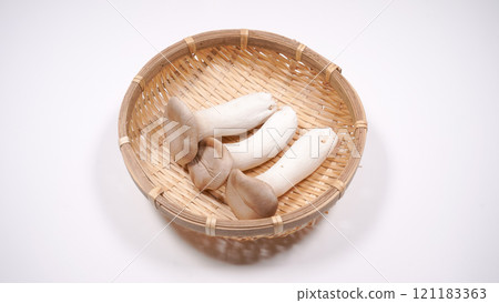 king oyster mushroom king oyster mushroom 121183363