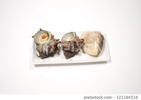 Clams and Sazae Clams and Sazae 121184318