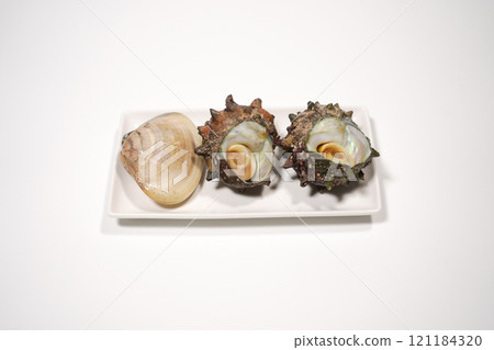Clams and Sazae Clams and Sazae 121184320