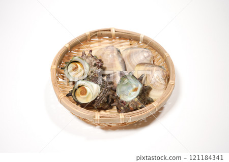 Clams and Sazae 121184341