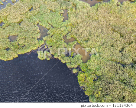 Aerial view of lake or river green shore with forest. Summer season. 121184364