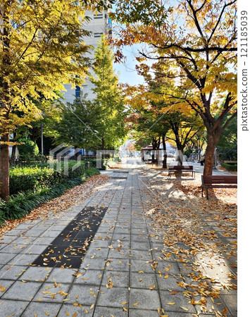 stone walkway in autumn park stone walkway in autumn park 121185039