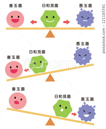 腸道細菌、腸道菌叢的平衡 腸道細菌、腸道菌叢的平衡 121185591