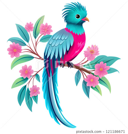 Most Beautiful Bird Species in the World 121186671