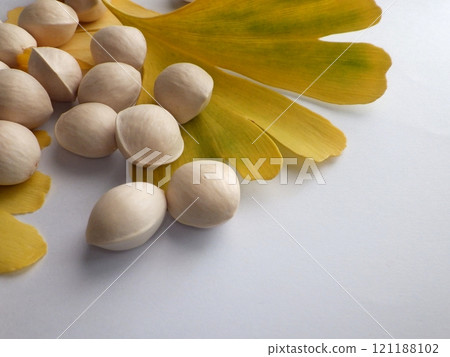 黃色的銀杏葉和銀杏 121188102